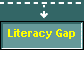 Literacy Gap